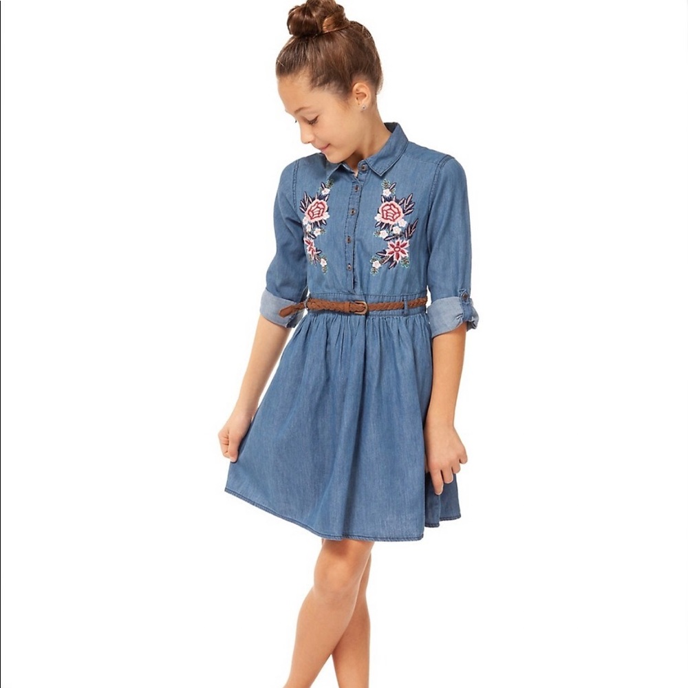 Dex Girl's Embroidered Cotton Dress